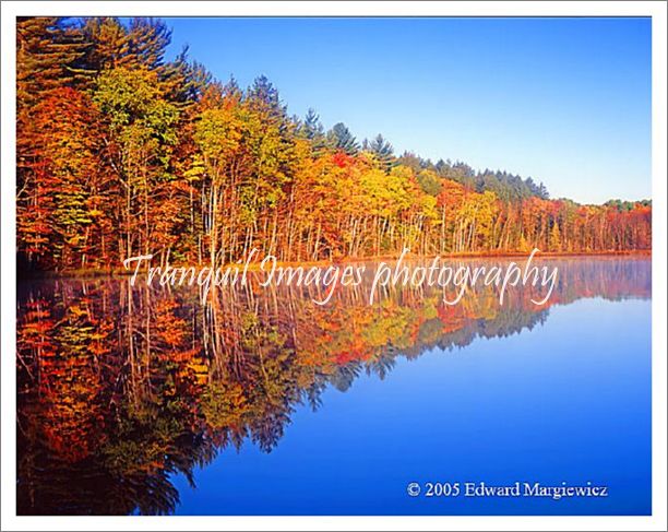 450236---Mirror reflections on Council Lake - Copy